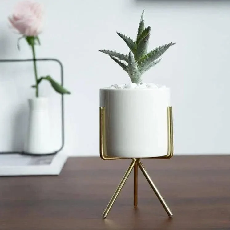 Minimalist_Plant_Pot_Set_-_Stylish_Chic_Home_Decoration_-_-4340603 Minimalist Plant Pot Set - Stylish & Chic Home Decoration -