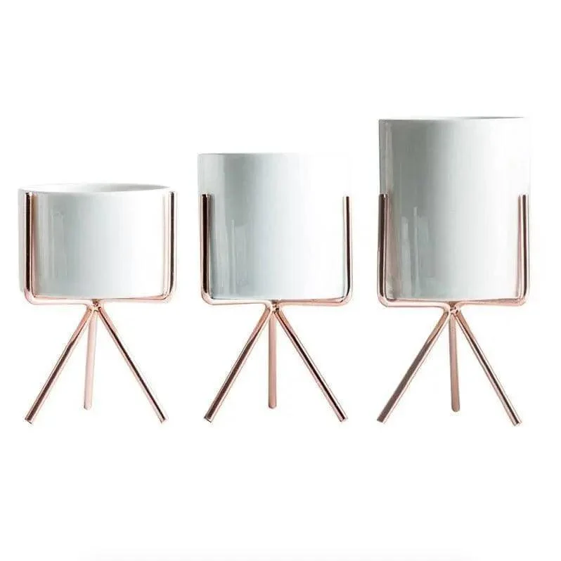 Minimalist_Plant_Pot_Set_-_Stylish_Chic_Home_Decoration_-_-4340627 Minimalist Plant Pot Set - Stylish & Chic Home Decoration -