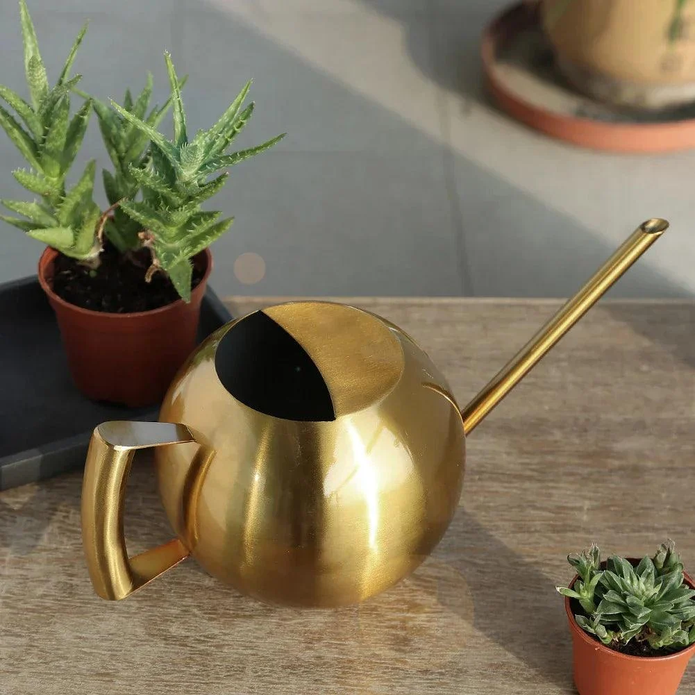 Minimalist Plant Watering Can -