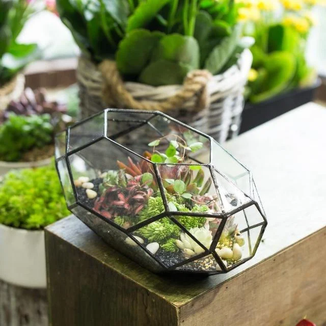 Modern-Glass-Flower-Pot-Large-Irregular-Polyhedral-Geometric-Glass-Terrarium-Lantern-Succulent-Plant-Flowerpot-11-inches_61ae4d3a-1c37-46b0-a090-bf11f303c485 Modern Glass Flower Pot Large Irregular Polyhedral Geometric Glass Terrarium Lantern Succulent Plant Flowerpot 11 Inches 61ae4d3a 1c37 46b0 A090 Bf11f303c485