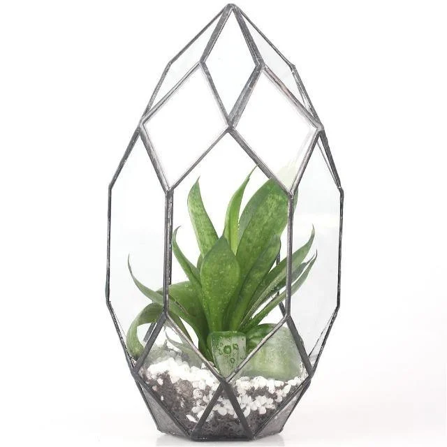 Modern-Glass-Flower-Pot-Large-Irregular-Polyhedral-Geometric-Glass-Terrarium-Lantern-Succulent-Plant-Flowerpot-11-inches_ada892c3-8a58-4b29-a510-f18f5d473549 Modern Glass Flower Pot Large Irregular Polyhedral Geometric Glass Terrarium Lantern Succulent Plant Flowerpot 11 Inches Ada892c3 8a58 4b29 A510 F18f5d473549