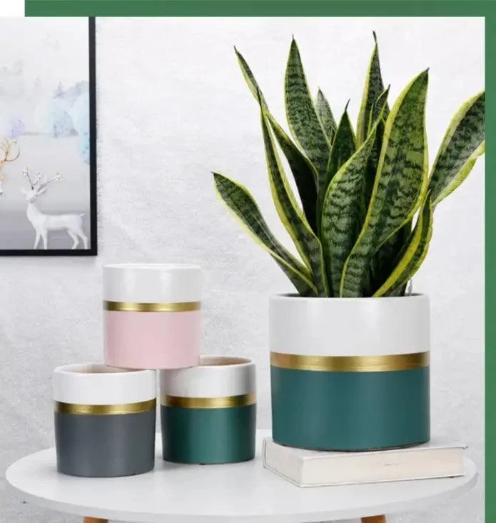 Modern_Flower_Pot_with_Gold_Rim_-_-4345174 Modern Flower Pot with Gold Rim -