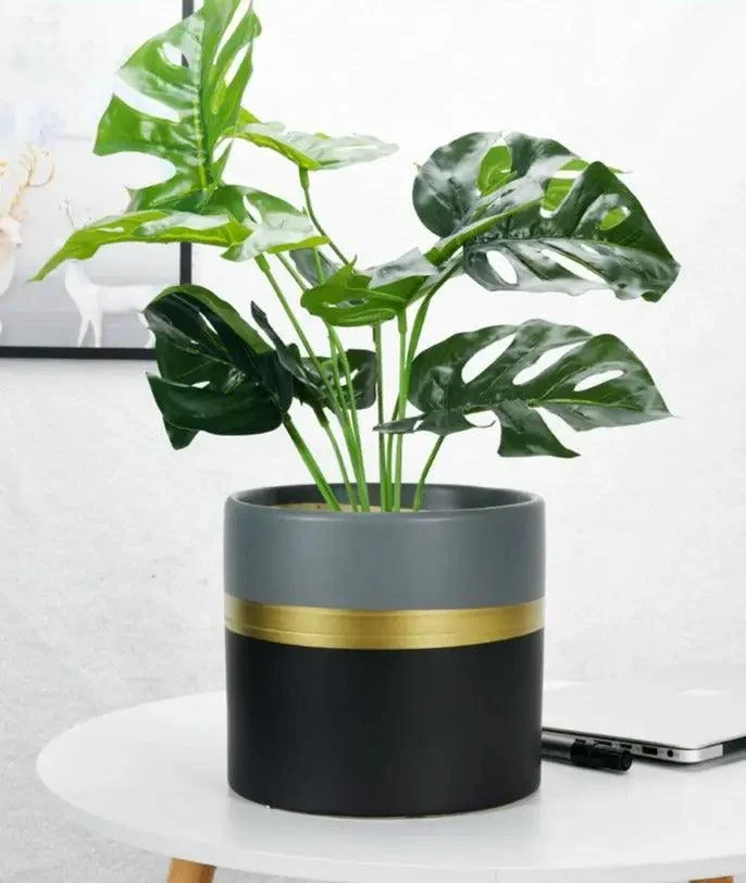 Modern_Flower_Pot_with_Gold_Rim_-_-4345179 Modern Flower Pot with Gold Rim -