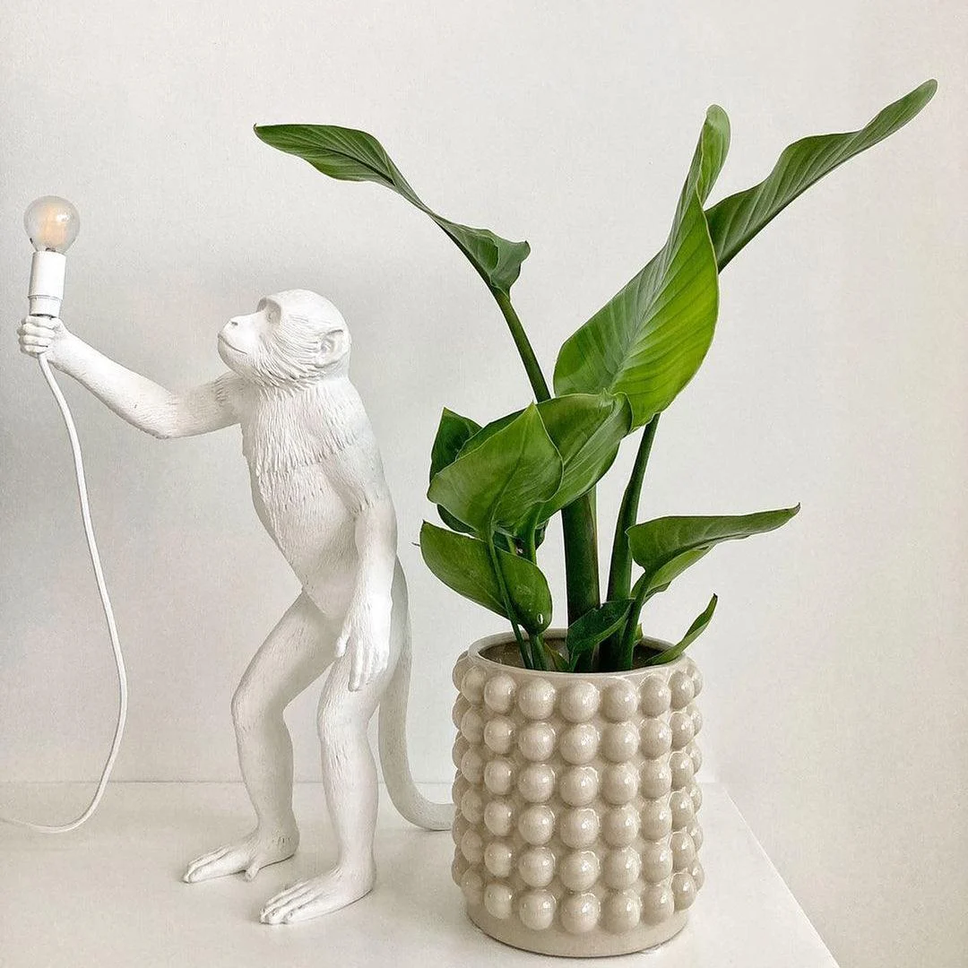 MonkeyTableLamp_26_63cbf138-102c-4968-b148-ebbf75a9de05 Monkeytablelamp 26 63cbf138 102c 4968 B148 Ebbf75a9de05