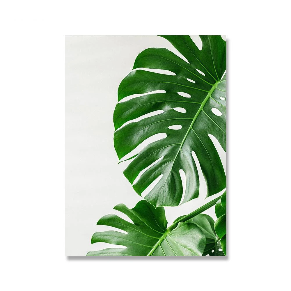 MonsteraPlantWallCanvas-Homeko3 Monstera Plant Wall Canvas - Homeko