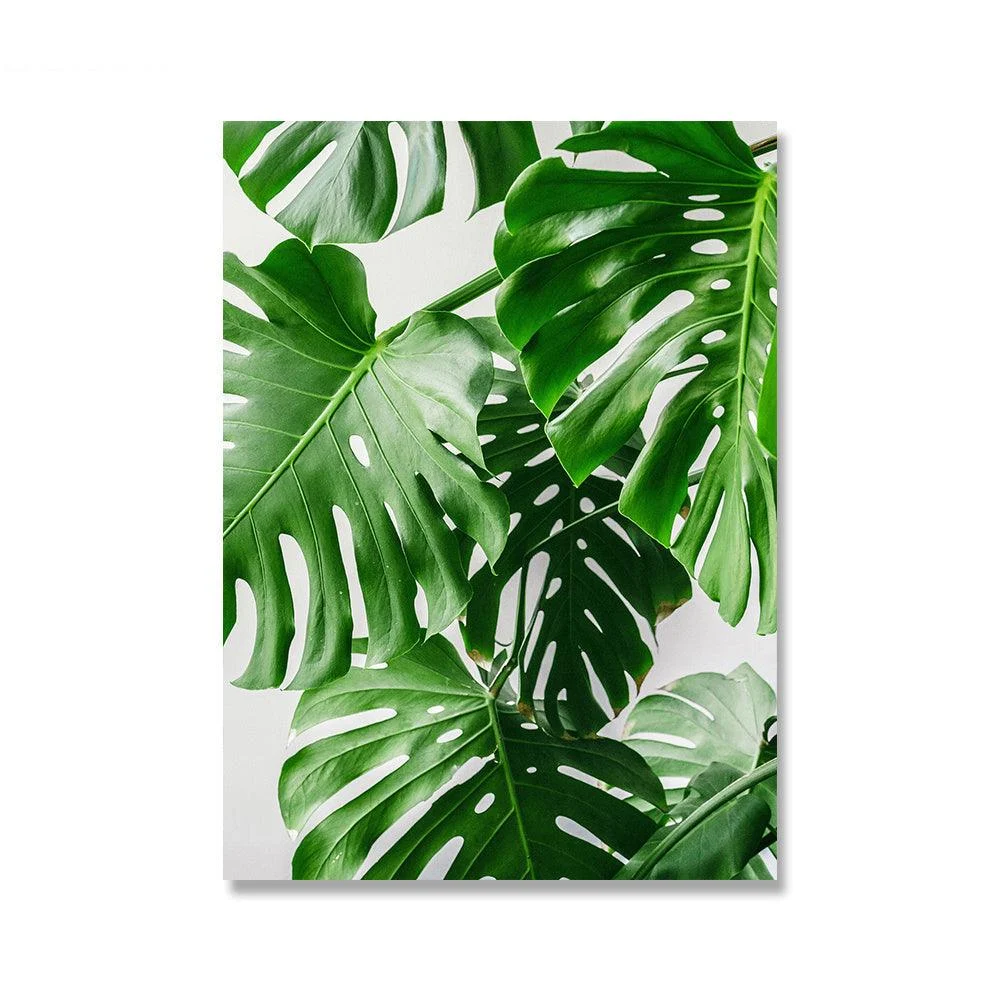 MonsteraPlantWallCanvas-Homeko4 Monstera Plant Wall Canvas - Homeko