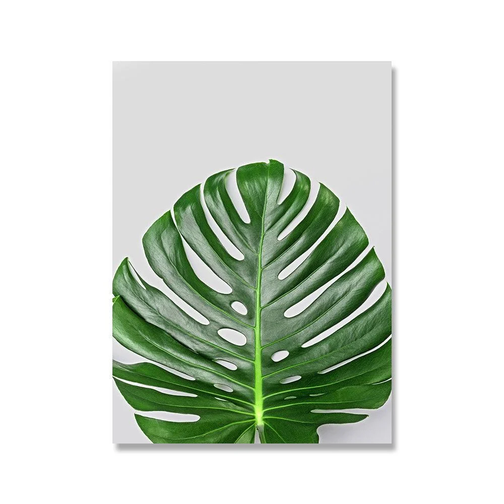 MonsteraPlantWallCanvas-Homeko5 Monstera Plant Wall Canvas - Homeko