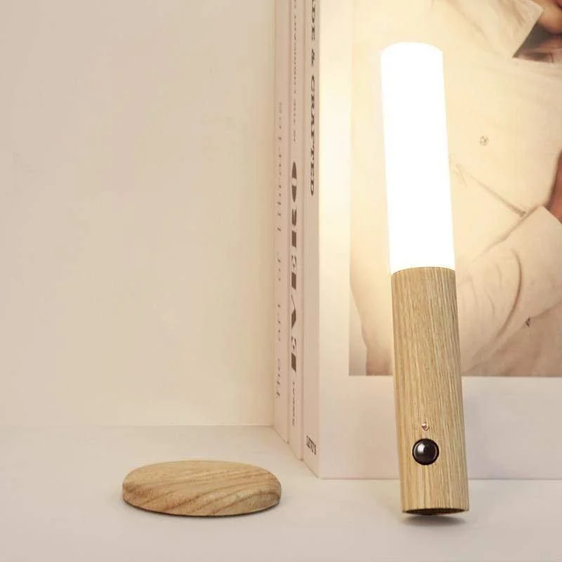 Mountable Motion Sensor Light -