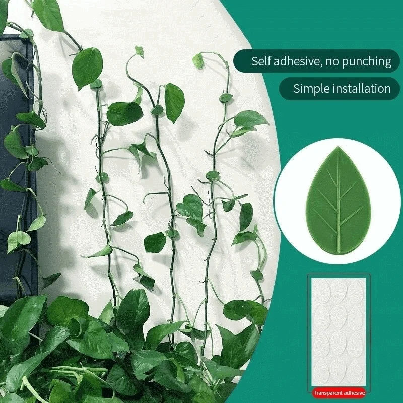 Multifunctional Plant Climbing Holder -