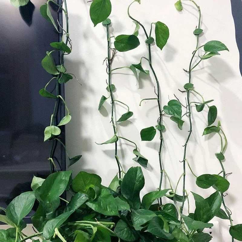 Multifunctional_Plant_Climbing_Holder_-_-4348622 Multifunctional Plant Climbing Holder -