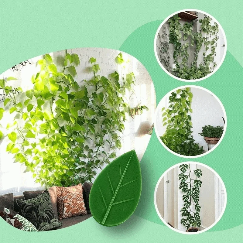 Multifunctional_Plant_Climbing_Holder_-_-4348630 Multifunctional Plant Climbing Holder -