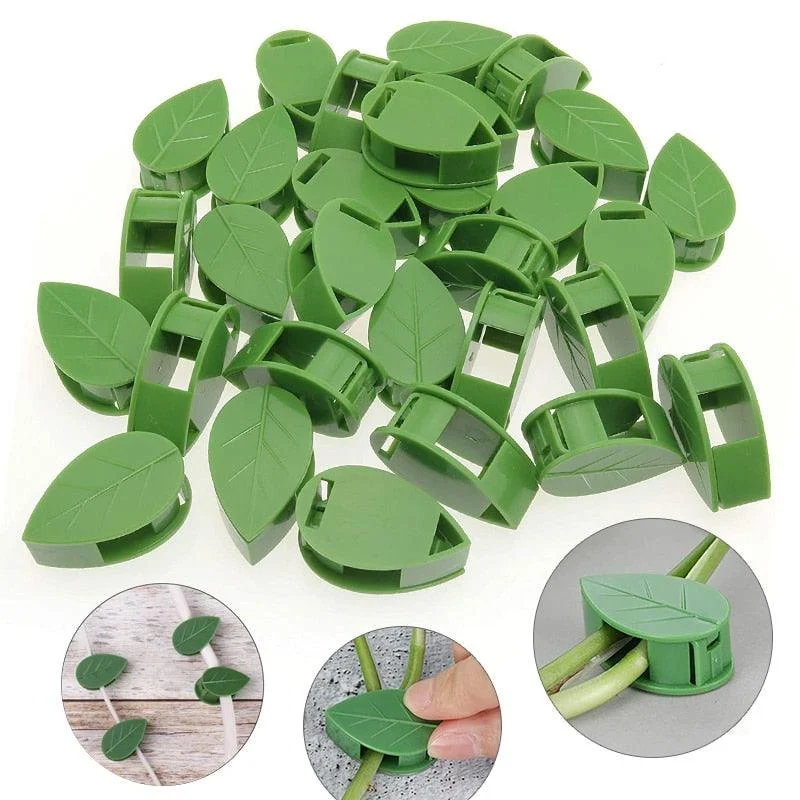 Multifunctional_Plant_Climbing_Holder_-_-4348643 Multifunctional Plant Climbing Holder -