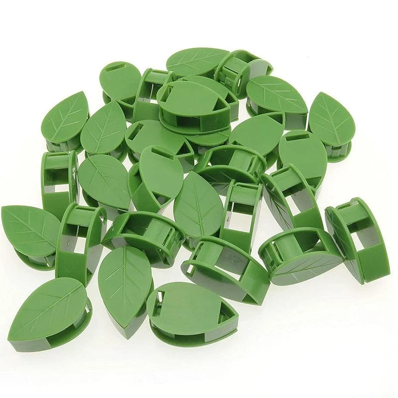Multifunctional_Plant_Climbing_Holder_-_-4348668 Multifunctional Plant Climbing Holder -