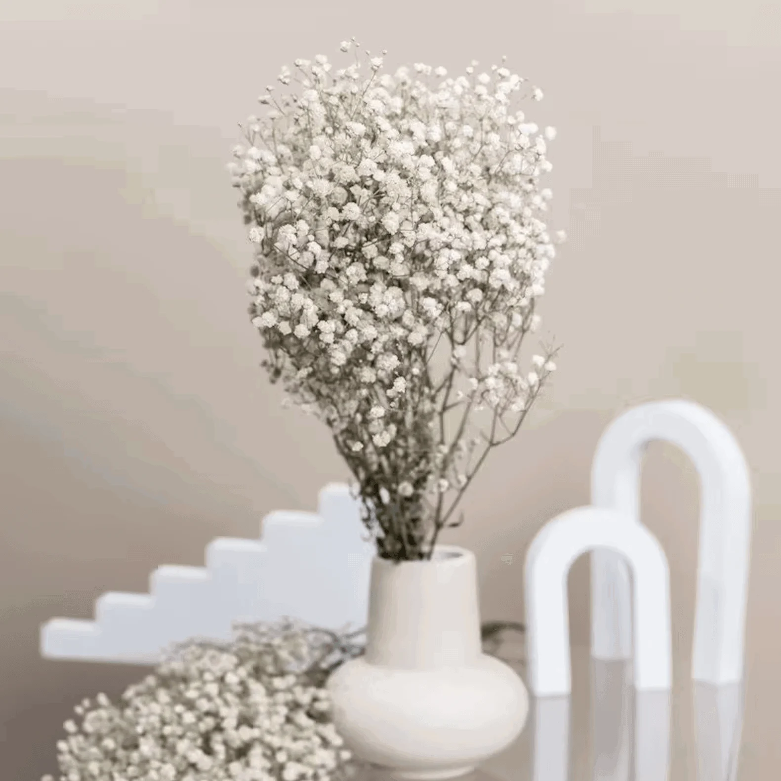 Natural_Dried_Baby_s_Breath_-_-4349639 Natural Dried Baby's Breath -