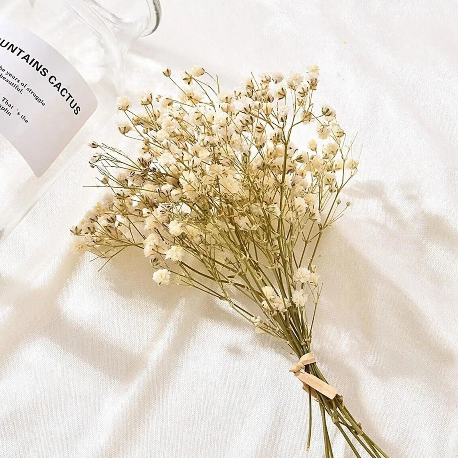 Natural_Dried_Baby_s_Breath_-_-4349644 Natural Dried Baby's Breath -