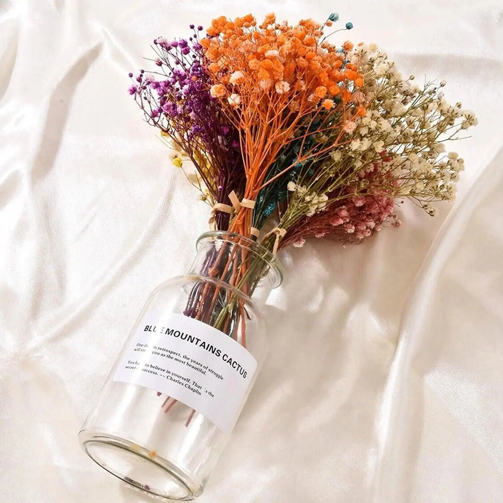 Natural_Dried_Baby_s_Breath_-_-4349653 Natural Dried Baby's Breath -
