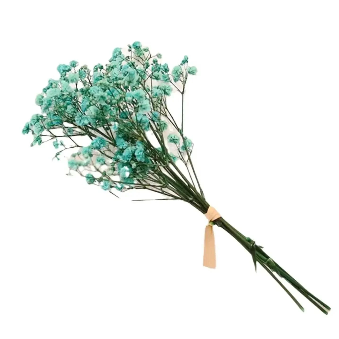 Natural_Dried_Baby_s_Breath_-_-4349662 Natural Dried Baby's Breath -