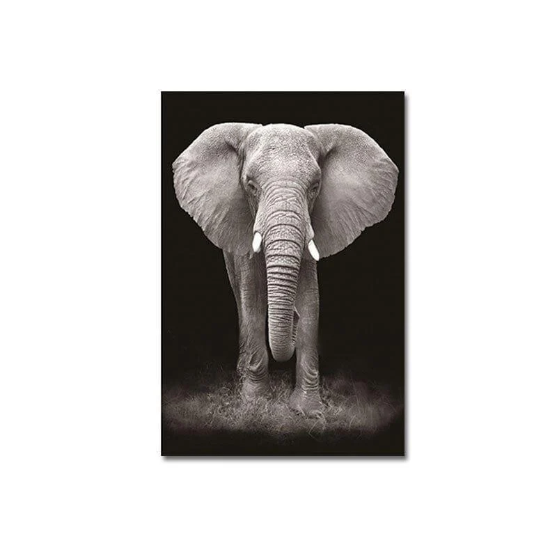 Niar_Canvas_-_-4350429 Niar Canvas -