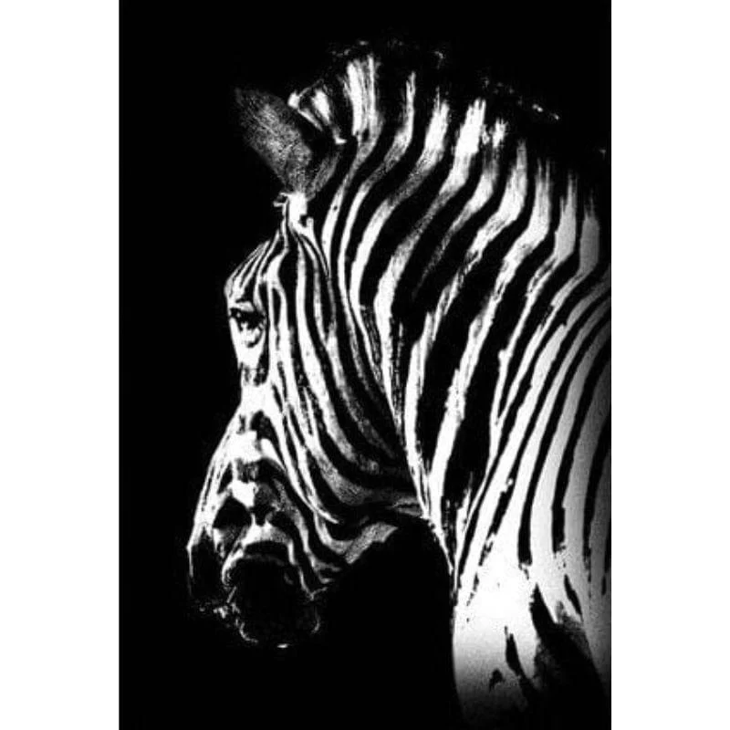 Niar_Canvas_-_-4350440 Niar Canvas -