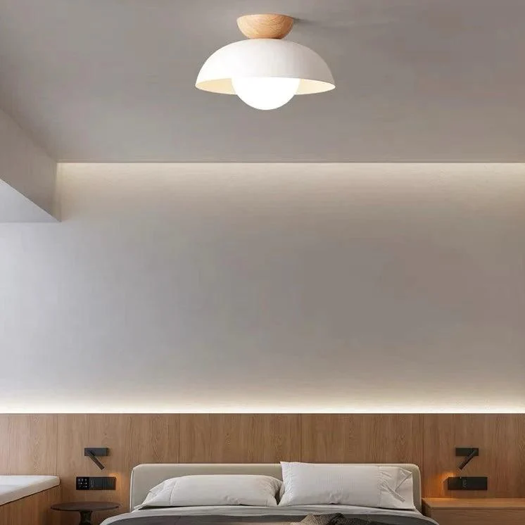 NordicEco-friendlyEnergy-efficientCeilingLampFixture-Homdiy_1 Nordiceco Friendlyenergy Efficientceilinglampfixture Homdiy 1