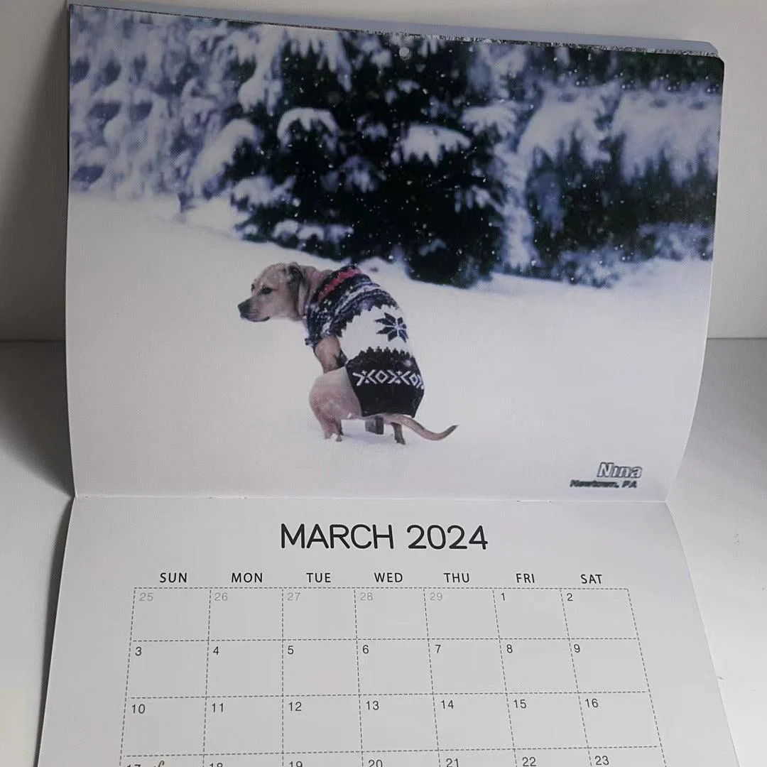O1CN01Y3uWuA27wOLXIxSP6_22094060 O1cn01y3uwua27wolxixsp6 22094060