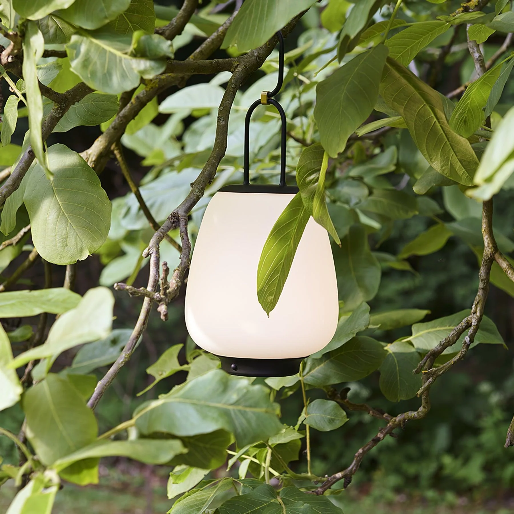 Portable_Lantern_Outdoor_Table_Lamp__2_878fe04d-9918-4af3-85e3-4e2f8f34f6ca Portable Lantern Outdoor Table Lamp 2 878fe04d 9918 4af3 85e3 4e2f8f34f6ca
