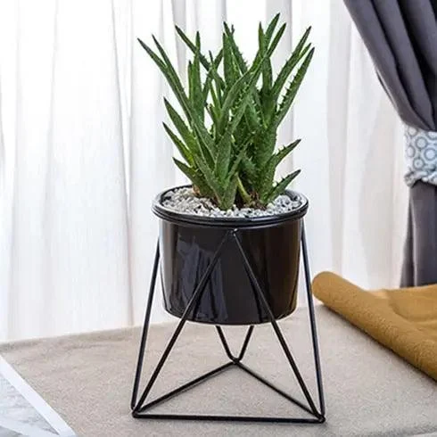 Pot-with-Geometric-Iron-Rack-Decorfaure-1685703873 Pot with Geometric Iron Rack - ISTANBULLU LTD