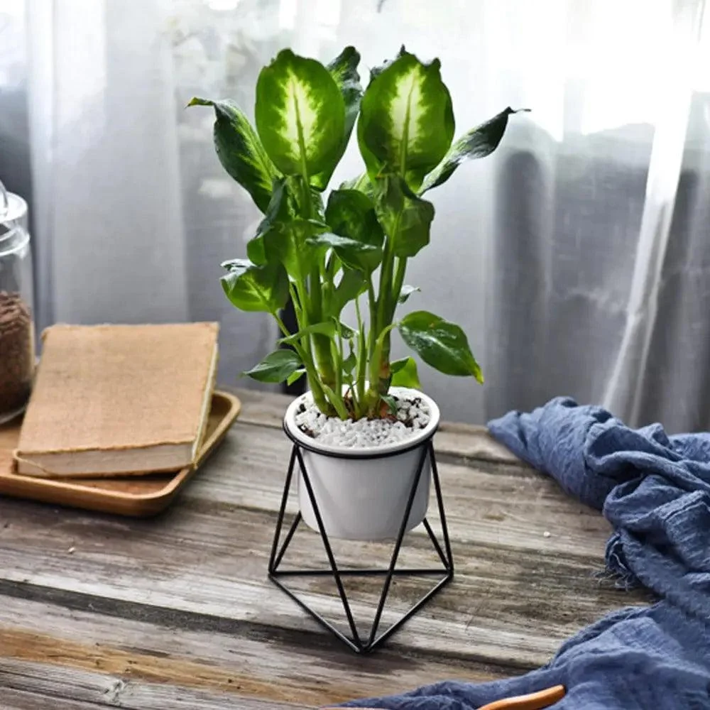 Pot-with-Geometric-Iron-Rack-Decorfaure-1685703902 Pot with Geometric Iron Rack - ISTANBULLU LTD