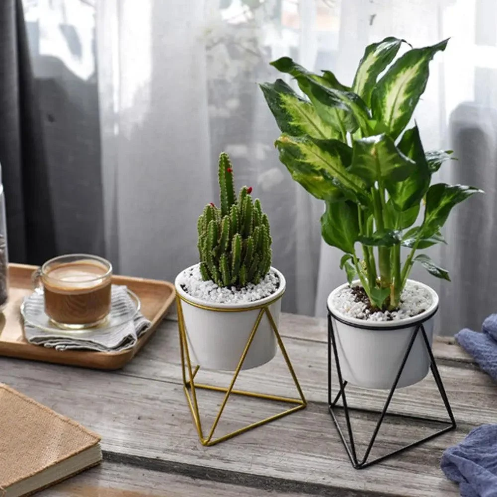 Pot-with-Geometric-Iron-Rack-Decorfaure-1685703962 Pot with Geometric Iron Rack - ISTANBULLU LTD