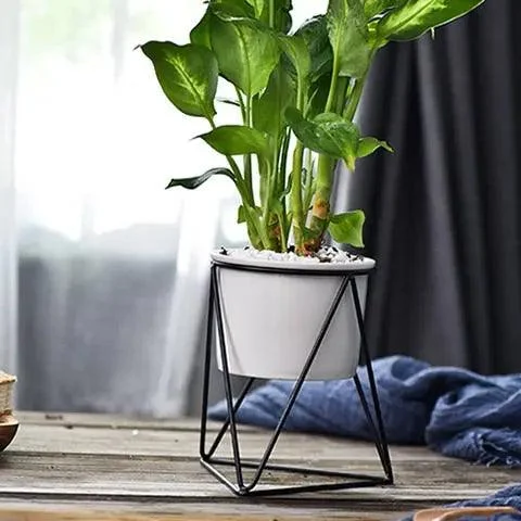 Pot-with-Geometric-Iron-Rack-Decorfaure-1685704039 Pot with Geometric Iron Rack - ISTANBULLU LTD