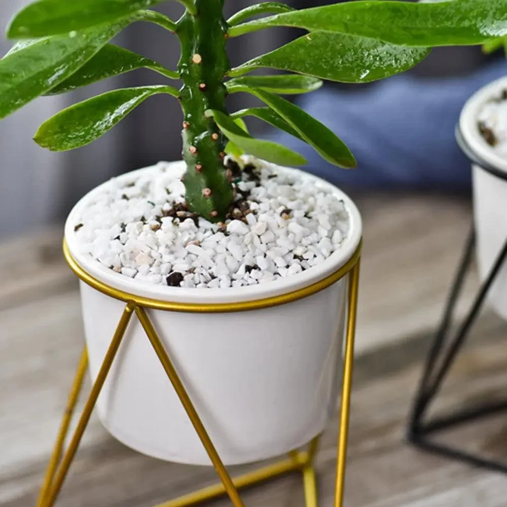 Pot-with-Geometric-Iron-Rack-Decorfaure-1685704055 Pot with Geometric Iron Rack - ISTANBULLU LTD