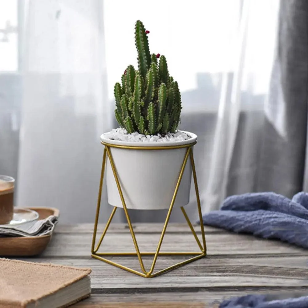 Pot-with-Geometric-Iron-Rack-Decorfaure-1685704099 Pot with Geometric Iron Rack - ISTANBULLU LTD