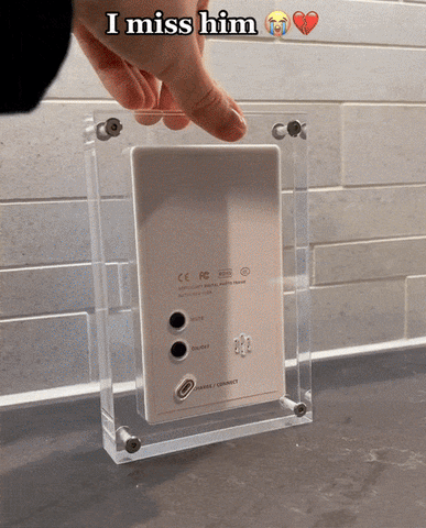 On the Motion Memory digital photo and video frame, a video of a dog is displayed. This special video memory is played in high quality on our digital photo and video frame.