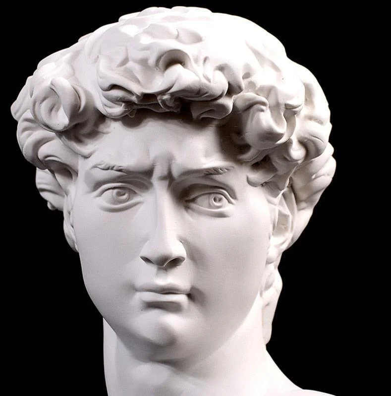Renaissance David Statue - Homeko