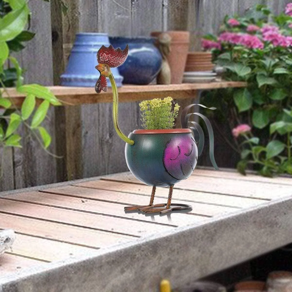 Rooster-Garden-Plant-Pot-Whimsical-Charm-17 Rooster Garden Plant Pot Whimsical Charm 17