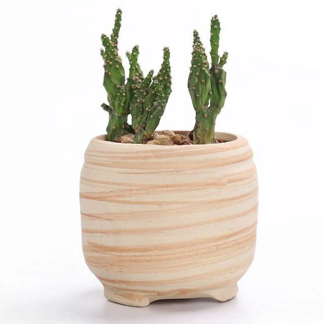 SUN-E-6-in-Set-3-Inch-Ceramic-Wooden-Pattern-Succulent-Plant-Pot-Cactus-Plant-Pot_9b69a0ab-c27b-451d-b558-f018adbdada6 Sun E 6 In Set 3 Inch Ceramic Wooden Pattern Succulent Plant Pot Cactus Plant Pot 9b69a0ab C27b 451d B558 F018adbdada6