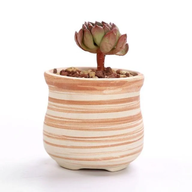SUN-E-6-in-Set-3-Inch-Ceramic-Wooden-Pattern-Succulent-Plant-Pot-Cactus-Plant-Pot_9ca67f62-75d9-4632-b178-57491b6a1421 Sun E 6 In Set 3 Inch Ceramic Wooden Pattern Succulent Plant Pot Cactus Plant Pot 9ca67f62 75d9 4632 B178 57491b6a1421