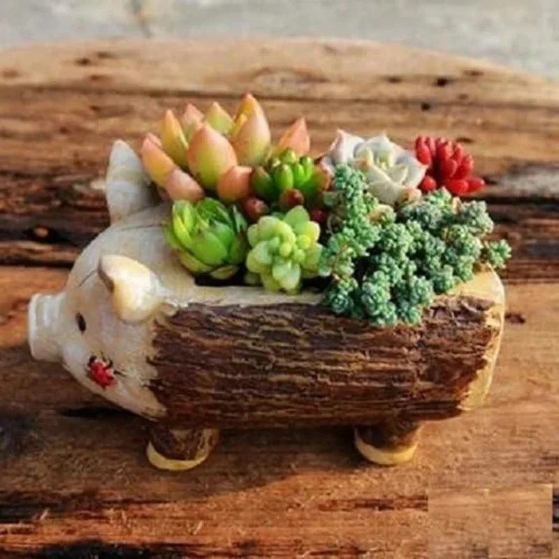 Schattige Sappige Planter Varken Geschenkvormige Cartoon Huisdecoratie Bloempotten Varken.jpg F2a4d869 D157 479c 8a2d E06c91a7bae1