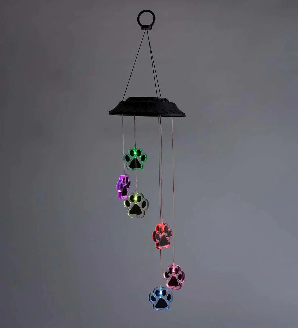 SolarLightedColor-ChangingSixPawPrintsMobile_2_2048x2048_4eee1c92-d129-4527-887d-f4a7c872809e Solarlightedcolor Changingsixpawprintsmobile 2 2048x2048 4eee1c92 D129 4527 887d F4a7c872809e