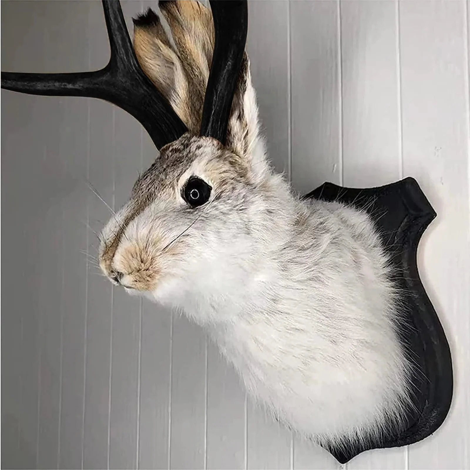 Taxidermy-Head-Wall-Decor-Deer-Head-Wall-Mount-Deer-Head-Wall-Mount-for-Home-Wall-Decoration.jpg_dbc9b812-390e-4bed-a103-4f633c30298c Taxidermy Head Wall Decor Deer Head Wall Mount Deer Head Wall Mount For Home Wall Decoration.jpg Dbc9b812 390e 4bed A103 4f633c30298c