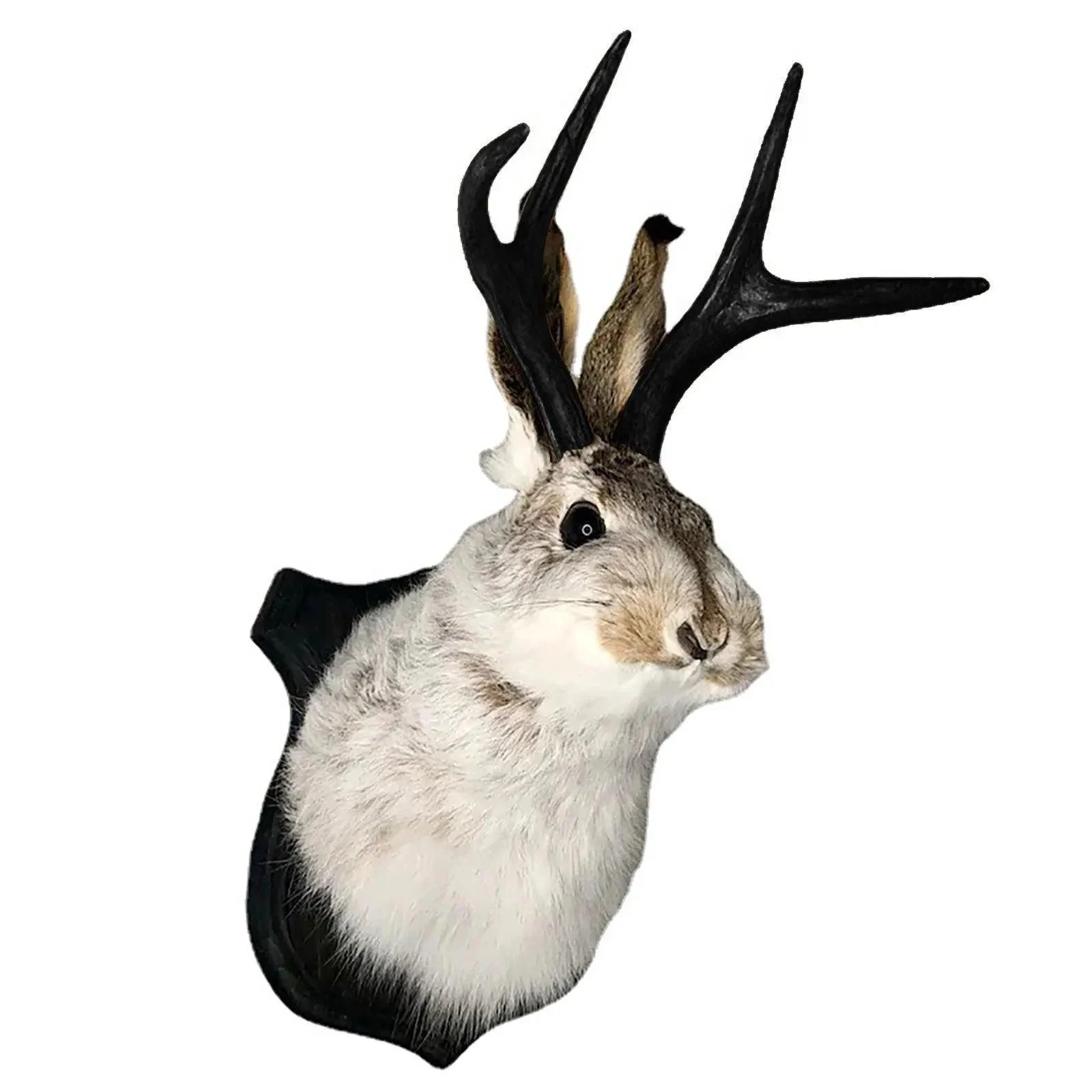 Taxidermy-Head-Wall-Decor-Deer-Head-Wall-Mount-Deer-Head-Wall-Mount-for-Home-Wall-Decoration.jpg_fee18173-a29c-425e-91b5-d6a9d0a8a4cd Taxidermy Head Wall Decor Deer Head Wall Mount Deer Head Wall Mount For Home Wall Decoration.jpg Fee18173 A29c 425e 91b5 D6a9d0a8a4cd