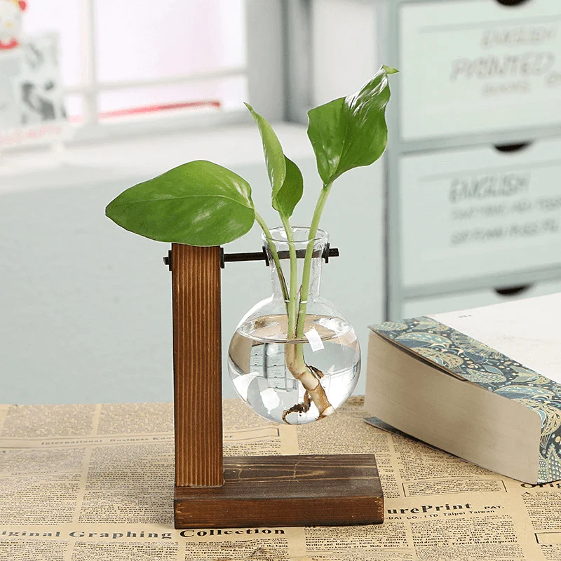 Terrarium Hydroponic Plant Vases Vintage Flower Pot Transparent Vase Wooden Frame Glass Tabletop Plants Bonsai Home 3