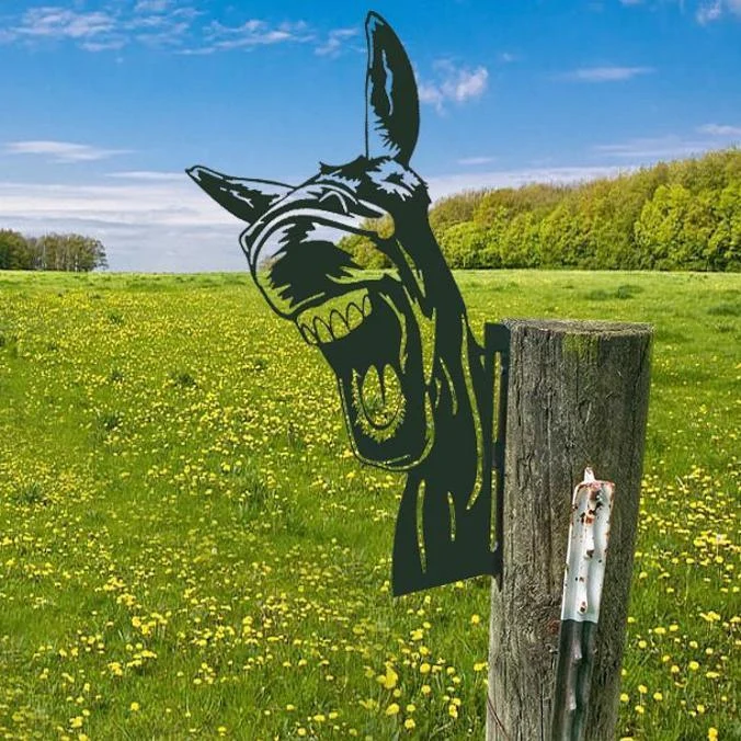 donkey1 Donkey1