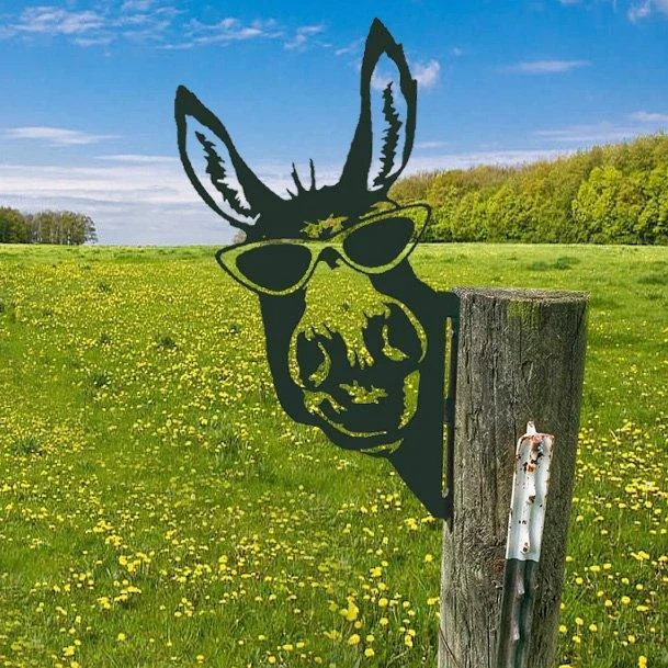 donkey2 Donkey2