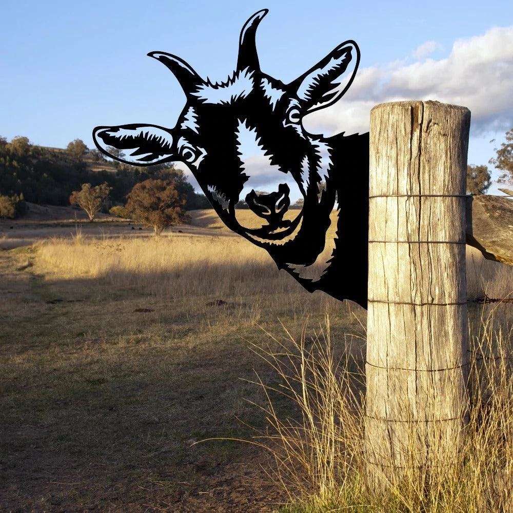 goat_2 Goat 2