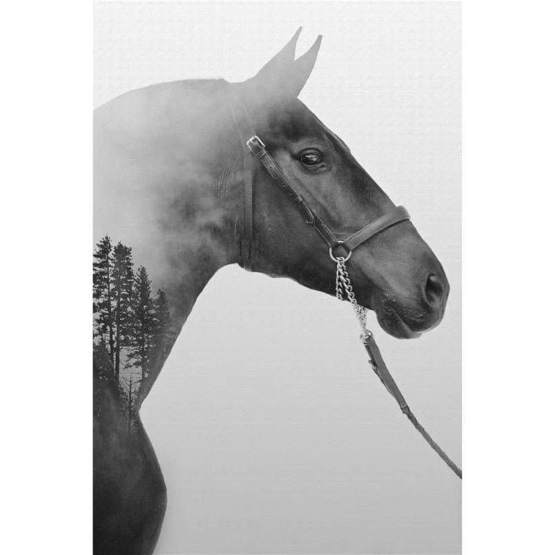 horse-canvas-mademoiselle-home-decor-and-furniture-store-10 Horse Canvas Mademoiselle Home Decor And Furniture Store 10
