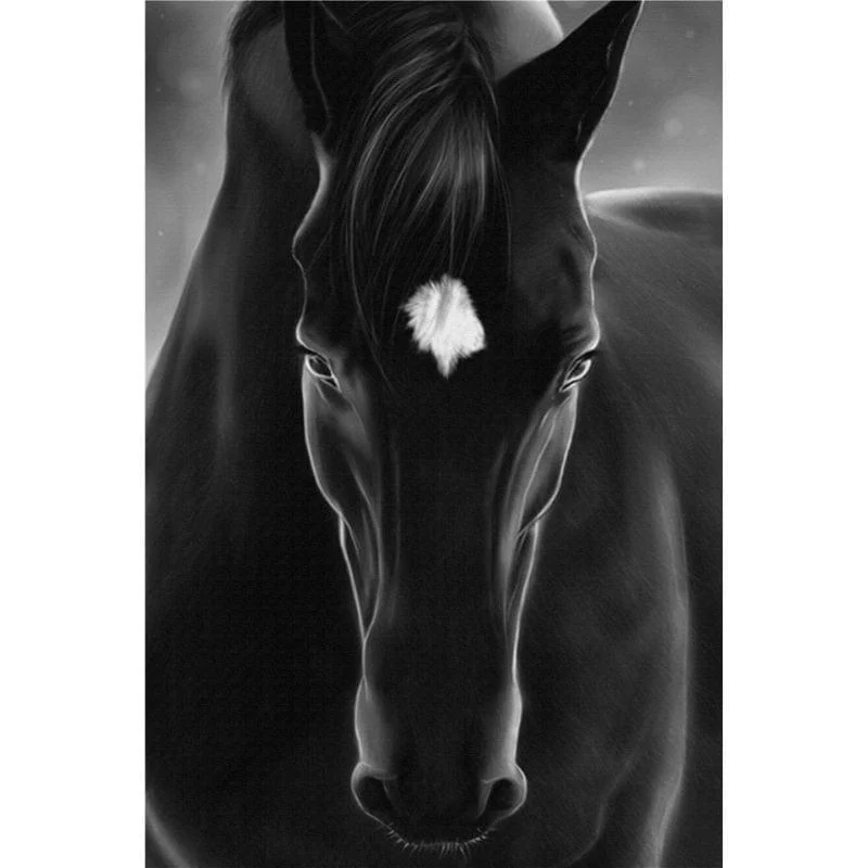 horse-canvas-mademoiselle-home-decor-and-furniture-store-8 Horse Canvas Mademoiselle Home Decor And Furniture Store 8