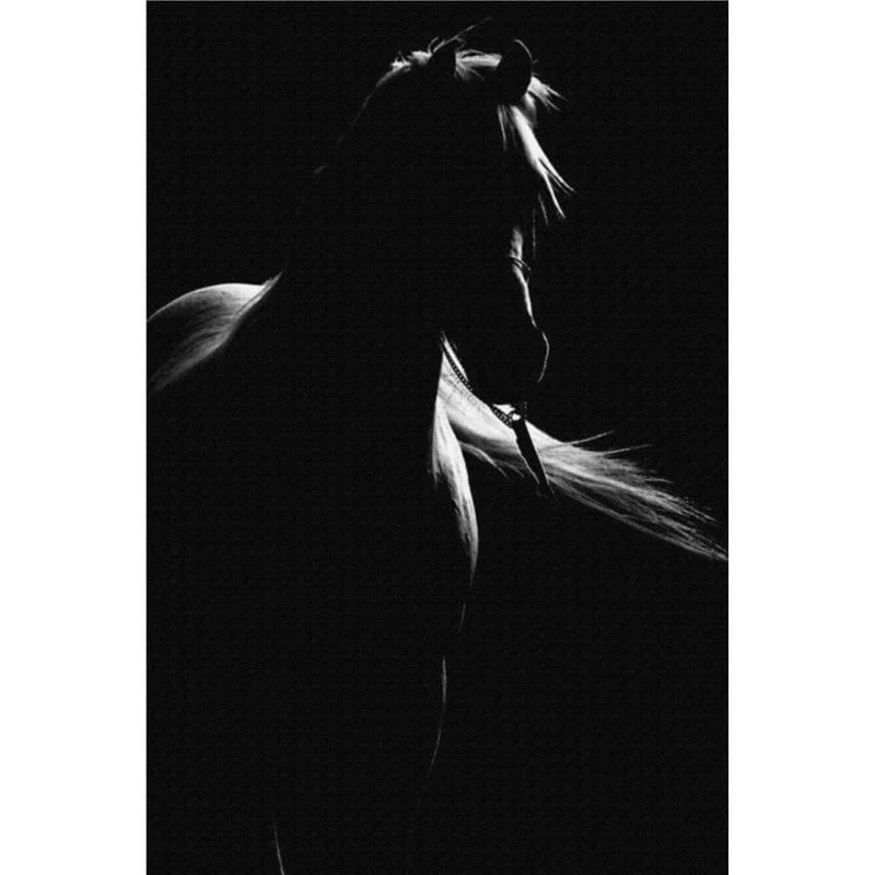 horse-canvas-mademoiselle-home-decor-and-furniture-store-9 Horse Canvas Mademoiselle Home Decor And Furniture Store 9