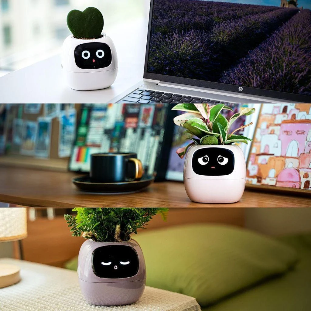 ivy-smart-plant-pot-evolved-chargers_1 Ivy Smart Plant Pot Evolved Chargers 1