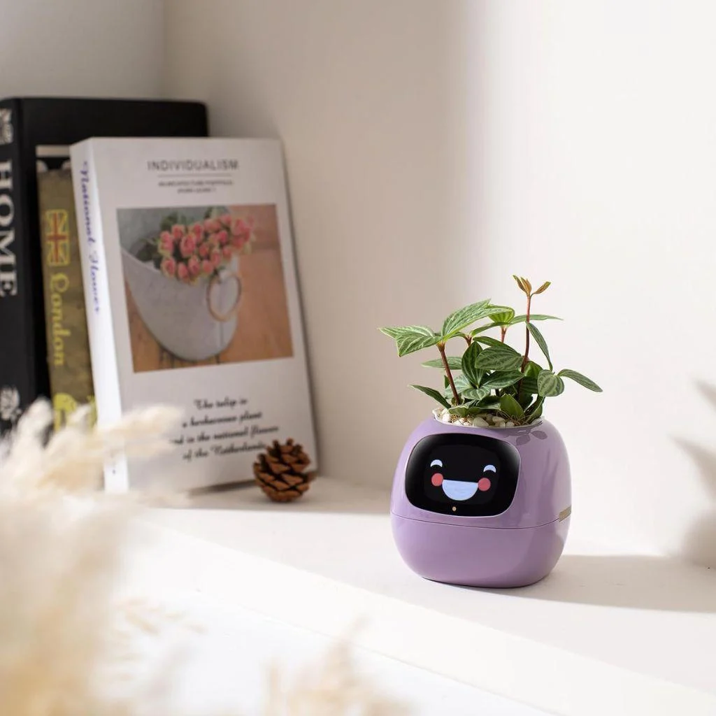 ivy-smart-plant-pot-evolved-chargers_10 Ivy Smart Plant Pot Evolved Chargers 10